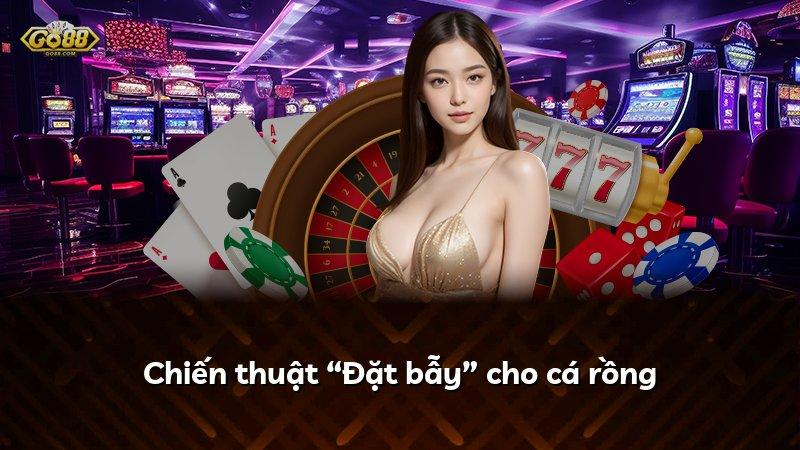 Chiến thuật “Đặt bẫy” cho cá rồng