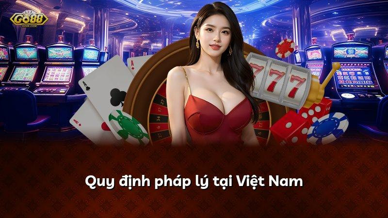 Quy định pháp lý tại Việt Nam